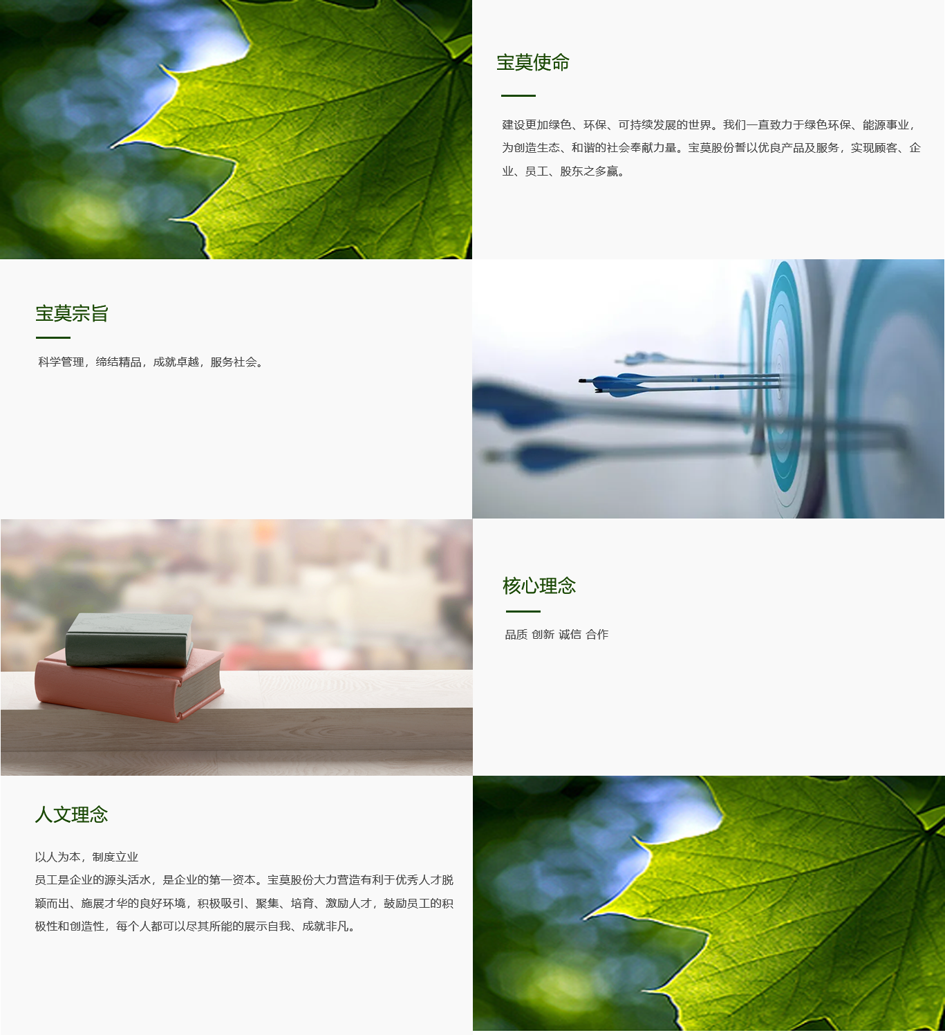 山东cq9电子官网生物化工股份有限公司